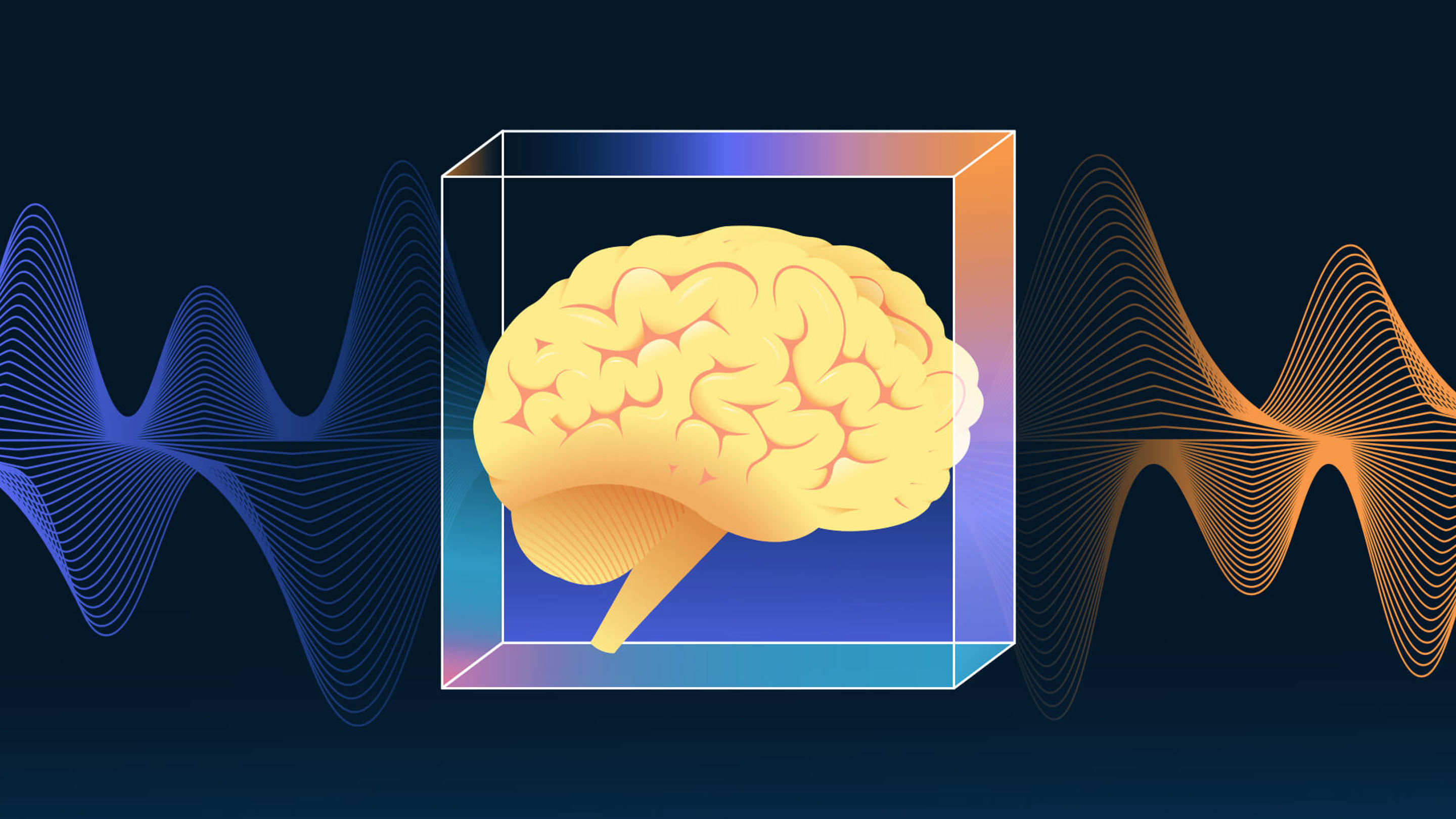 Body Lrge 3 2X Body Lrge 3 2X}