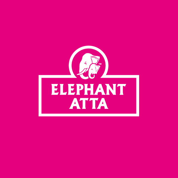 Client Tile 600X600 Elephant V2