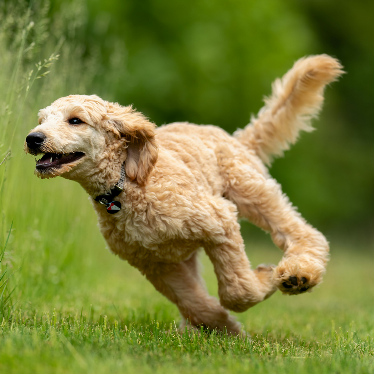 Frontline Header Tile