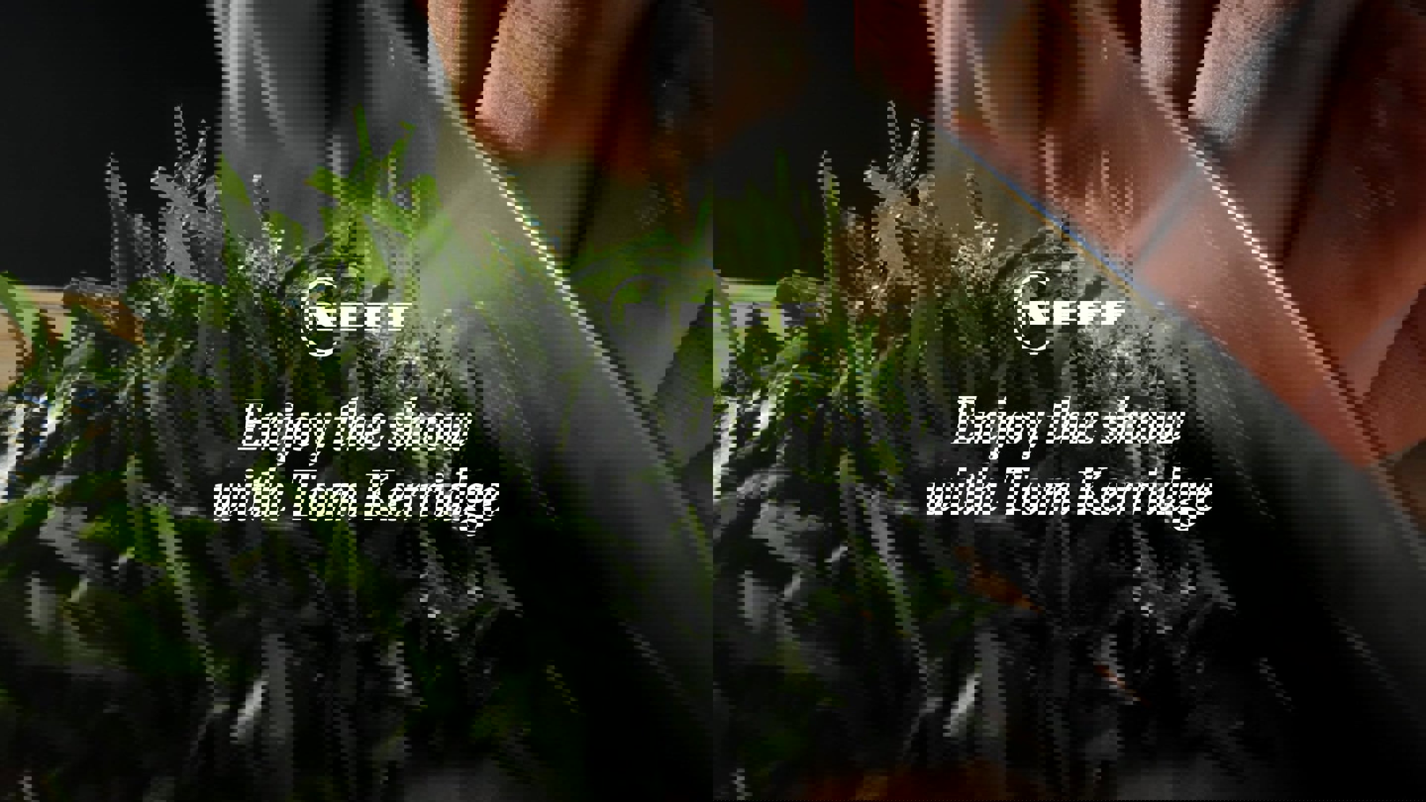 Neff Thumb Neff Thumb