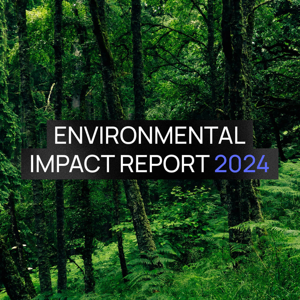 Environmental Impact Report Tile