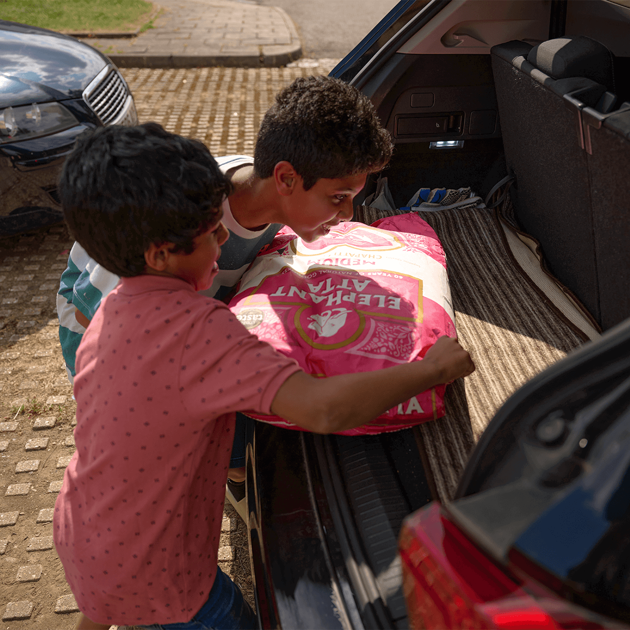 Elephant Atta Thumb Elephant Atta Thumb