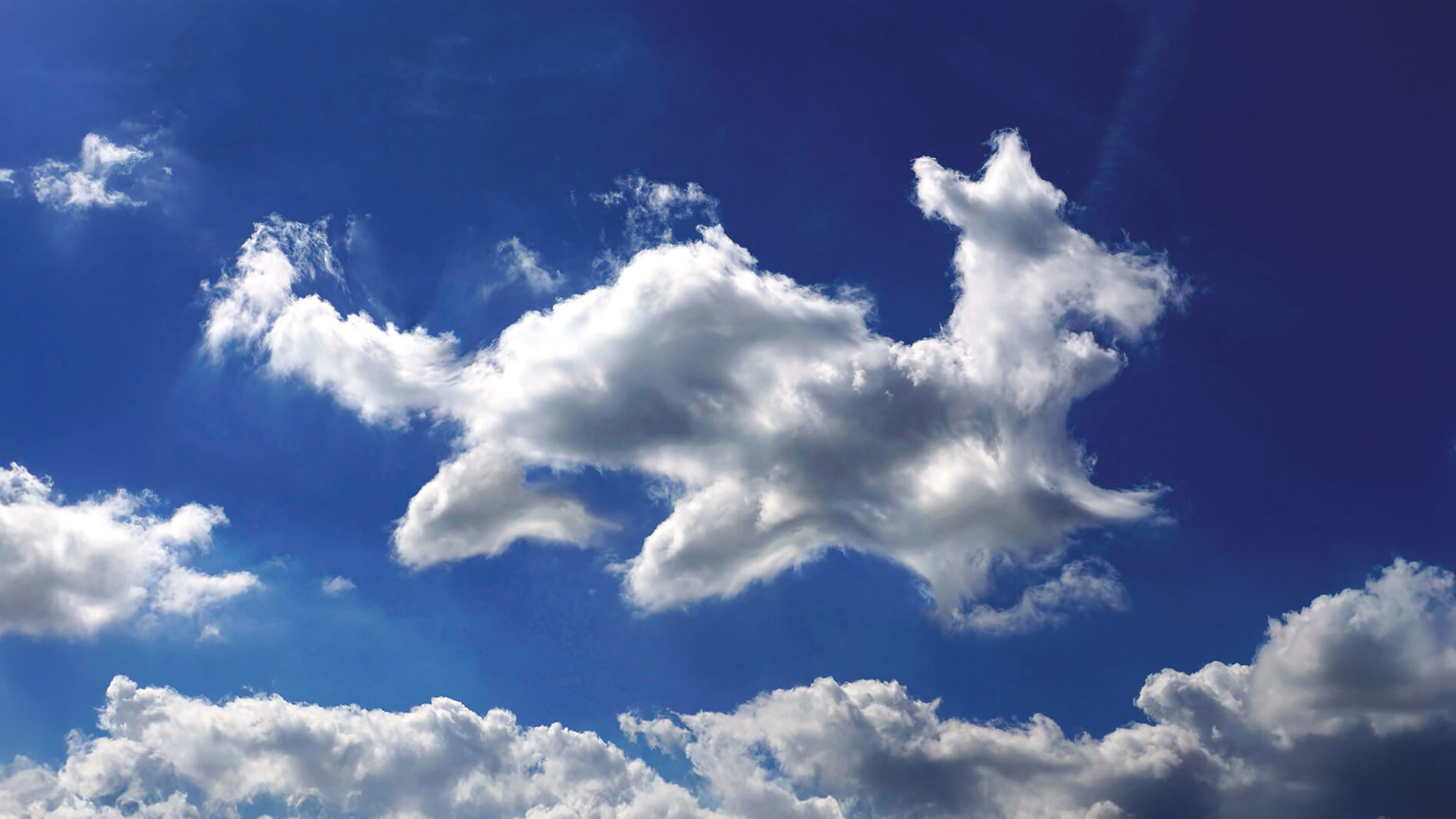 Body Lrge 1 2X Body Lrge 1 2X}